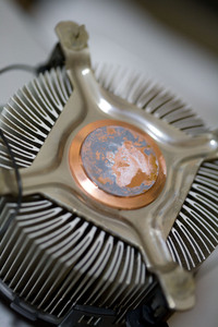 ファイル 100-1.jpg