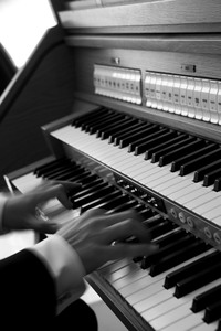 ファイル 131-1.jpg