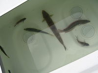 ファイル 138-3.jpg