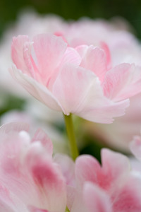 ファイル 141-1.jpg