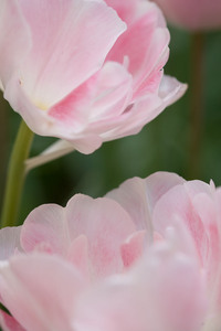 ファイル 141-2.jpg