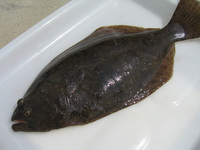 ファイル 143-3.jpg