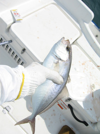 ファイル 143-4.jpg