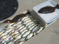 ファイル 143-5.jpg