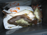 ファイル 169-3.jpg