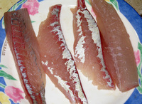 ファイル 170-1.jpg