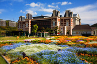 ファイル 175-1.jpg