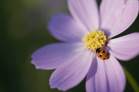 ファイル 192-1.jpg