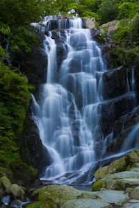 ファイル 194-1.jpg