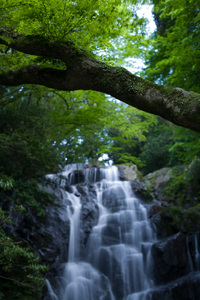 ファイル 194-2.jpg