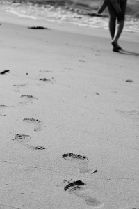 ファイル 197-1.jpg