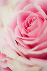 ファイル 206-1.jpg