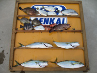 ファイル 211-1.jpg