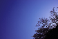 ファイル 22-1.jpg