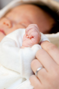 ファイル 227-1.jpg