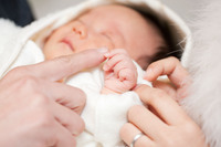 ファイル 229-1.jpg