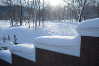 ファイル 243-1.jpg