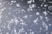 ファイル 246-1.jpg