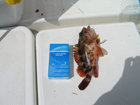 ファイル 292-2.jpg