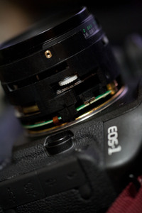 ファイル 304-2.jpg