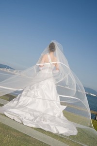 ファイル 31-1.jpg