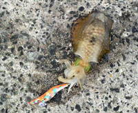 ファイル 352-1.jpg