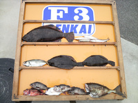 ファイル 356-1.jpg