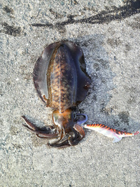 ファイル 368-1.jpg