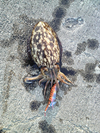 ファイル 368-2.jpg