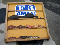 ファイル 381-1.jpg