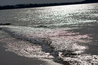 ファイル 43-1.jpg