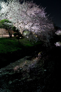 ファイル 6-1.jpg