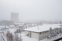 ファイル 75-1.jpg