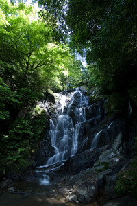 ファイル 80-1.jpg