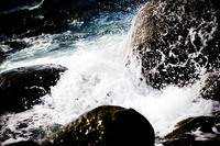 ファイル 81-1.jpg