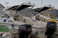 ファイル 82-1.jpg